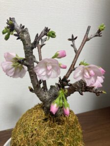 内定者研修